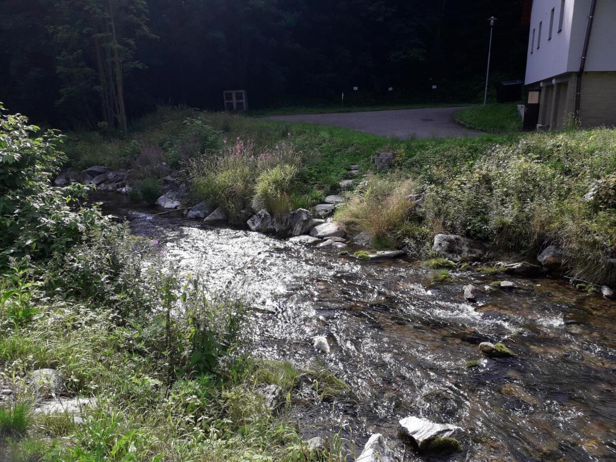 Apartmany Vakstav Dolni Morava Luaran gambar
